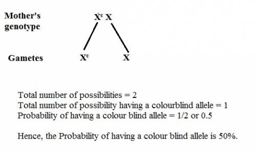 Amother has one allele for color blindness and one allele for normal vision. what is the probability