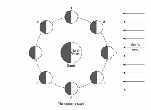 State the numbered position of the moon that could result in a lunar eclipse