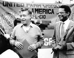 Who was cesar chavez?  an activist who protested at alcatraz island an organizer of the american ind