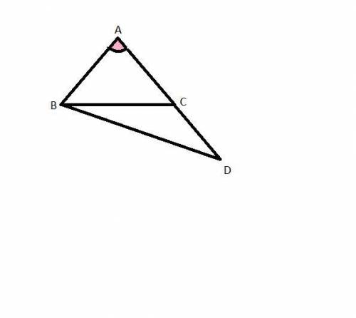 Describe a diagram of a pair of triangles that share a common angle and a common side.