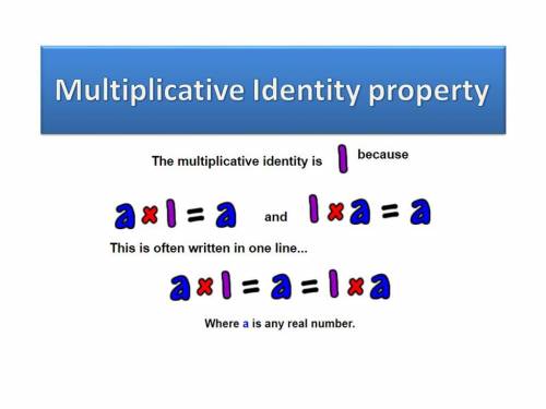 Which equation demonstrates the multiplicative identity property