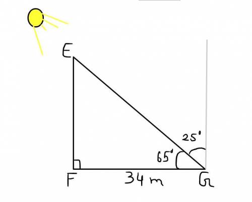 Use a trigonometric ratio to find the distance ef. a building casts a 34 m shadow when the sun is at
