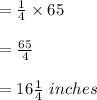 =\frac{1}{4}\times 65\\\\=\frac{65}{4}\\\\=16\frac{1}{4}\ inches
