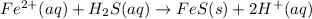 Fe^{2+}(aq)+H_2S(aq)\rightarrow FeS (s)+2H^+ (aq)