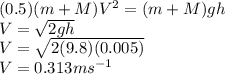 (0.5) (m + M) V^{2} = (m + M) gh\\V = \sqrt{2gh}\\V = \sqrt{2(9.8)(0.005)}\\V = 0.313 ms^{-1}
