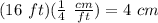 (16\ ft)(\frac{1}{4}\ \frac{cm}{ft})=4\ cm