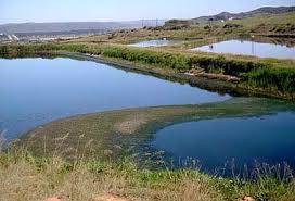 Give me a picture of oxidation pond