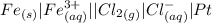 Fe_{(s)}|Fe^{3+}_{(aq)}||Cl_2_{(g)}|Cl^-_{(aq)}|Pt