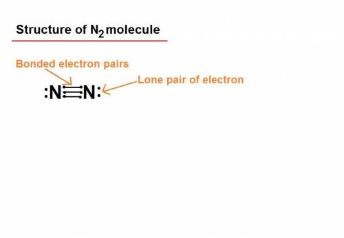 The nitrogen atoms in a molecule of n2 share a total of (1) one pair of electrons (2) one pair of pr