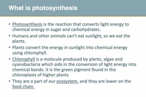 What is photosythesis?   in 125 words .