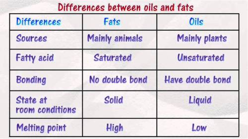 What is some differences between fats and oils?