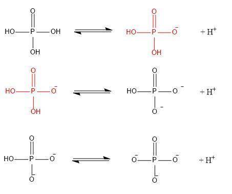 Phosphate is derived from the titration of phosphoric acid, h3po4. the three pka’s of h3po4 are 2.15