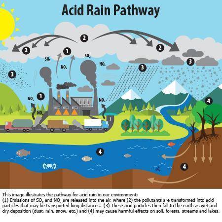 Fossil fuel combustion increases the acidity of rain because  carbon dioxide dissolves in rainwater
