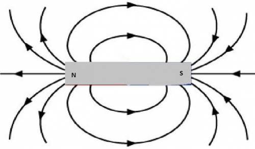 If you drew magnetic field lines for this bar magnet, which statement would be true. a. the magnetic