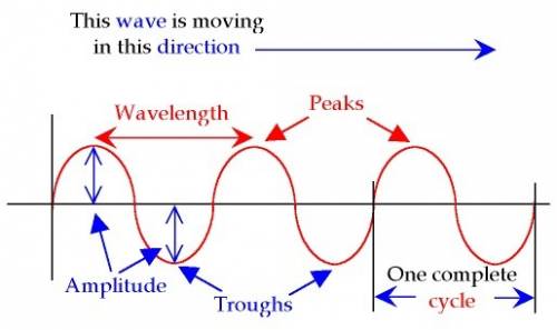 How is wave amplitude measured in a transverse wave?