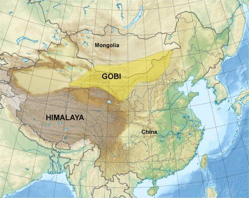The gobi desert is a large plateau, surrounded by mountains on one side and the  on its southern bor