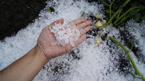 Which of the following best describes hail?  a- small ice pellets that may fall to the ground in a m