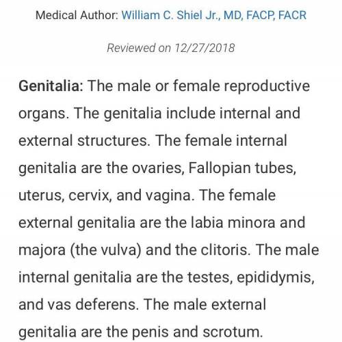 The male and female reproductive organs are also known as