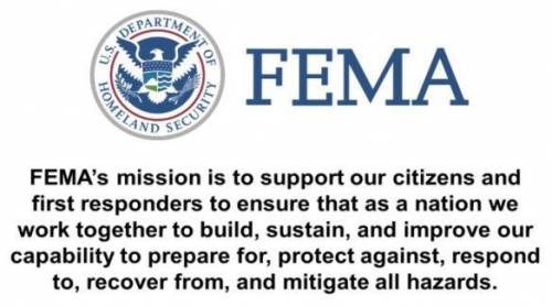 In support of the third goal of fema’s action plan, fema leaders at all levels must recognize that d