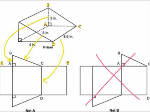 Aprism and two nets are shown below:  part a:  which is the correct net for the prism?  explain your
