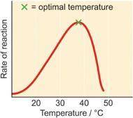 Gastric lipase has an optimal temperature of 37°c. sketch an optimal temperature graph below.