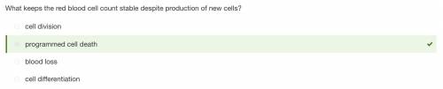 The red blood cell count is kept stable despite production of new cells by what?  blood loss cell di