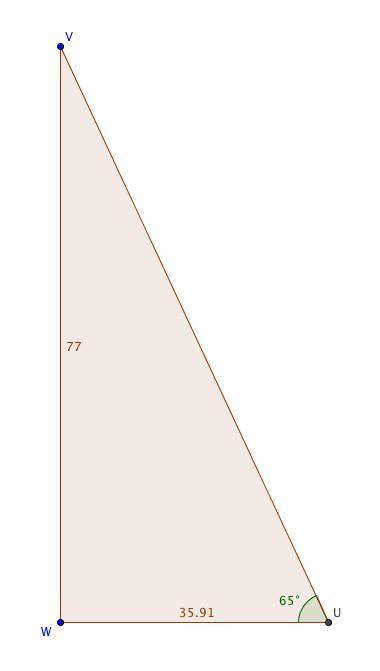 Δuvw, the measure of ∠w=90°, the measure of ∠u=65°, and vw = 77 feet. find the length of wu to the n