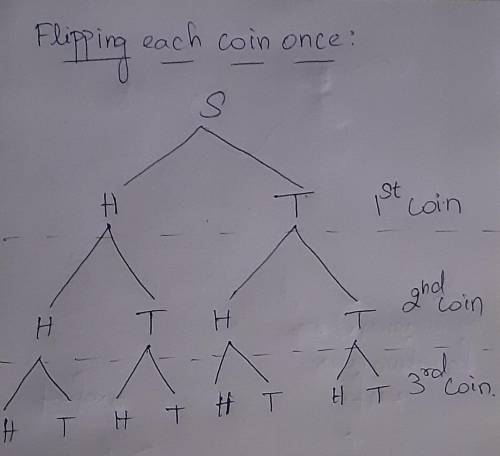 Sketch a tree diagram to represent the sample space of flipping each of the following coins once.