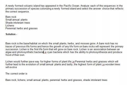 Anewly formed volcanic island has appeared in the pacific ocean. analyze each of the sequences in th