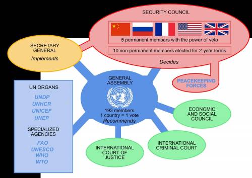 What are the two main bodies of the united nations?  apex