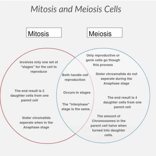 Ven diagram between mitosis and meiosis