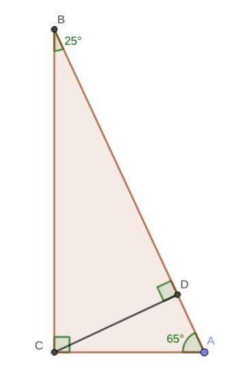 In triangle δabc, ∠c is a right angle and c is the height to ab. find the angles in δcbd and δcad if