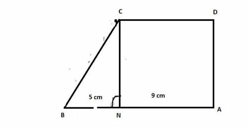 The shape abcd is made from a rectangle ancd and the right-angled triangle nbc. anb is a straight li