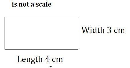 Начерти прямоугольник со сторонами 4 см и 3 см. найди его периметр и площадь. pl