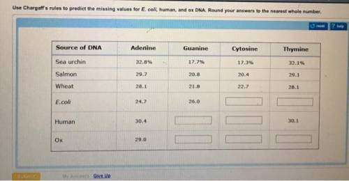 Use chargaff’s rules to predict the missing values for e. coli, human, and ox dna. round your answer