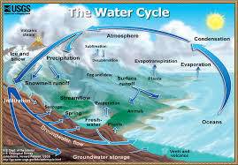 What does the water cycle look like?  what does the nitrogen cycle look like?