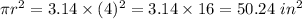 \pi r^2=3.14\times (4)^2=3.14\times 16=50.24\ in^2