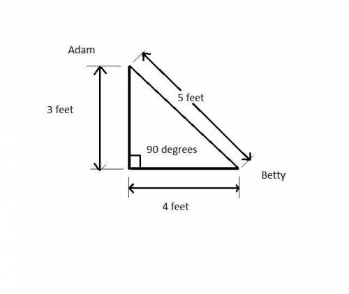 Adam and betty start are the same point adam walls 3 feet north while betty walks 4 feet west. if a