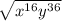 \sqrt{x^{16} y^{36}}