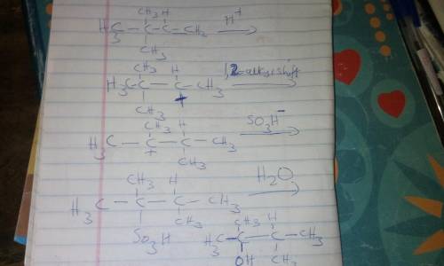 Hoping to synthesize 3,3-dimethyl-2-butanol, an inexperienced student reacted 3,3-dimethyl-1-butene