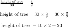 \frac{\text{height of tree}}{30} = \frac{6}{9}\\\\\text{height of tree} = 30 \times \frac{6}{9} = 30 \times \frac{2}{3}\\\\\text{ height of tree } = 10 \times 2 = 20