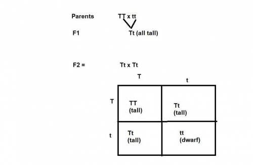What can be expected for the recessive trait of monohybrids from the f2 generation?  all dominant tr