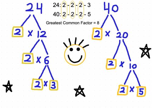 What is the greatest common factor of 24 and 40