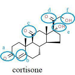 Identify the functional group(s) that appear in the molecule cortisone (a major hormone synthesized