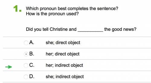 Which pronoun best completes the sentence?   how is the pronoun used?   did you tell christine and