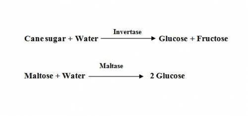 What is the name for a substance formed in a chemical reaction?   reactant  enzyme  catalyst  produc