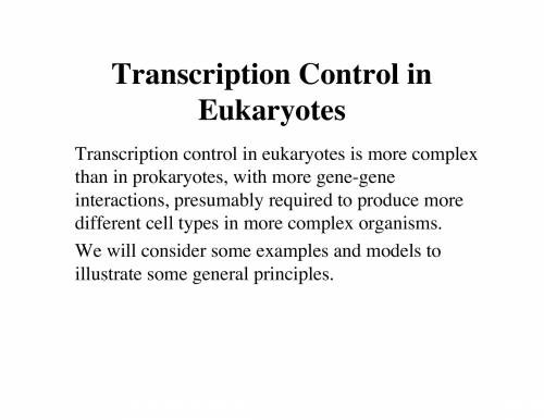 14. briefly outline why control of transcription is more complex in eukaryotes than in prokaryotes