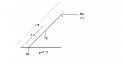 A16.2 kg person climbs up a uniform ladder with negligible mass. the upper end of the ladder rests o