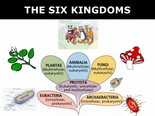 The six kingdoms of life include bacteria that have cell walls with peptidoglycan, bacteria that hav