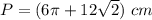 P=(6\pi+12\sqrt{2})\ cm